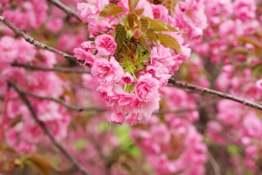 南京浦口区线下个人借款平台一站式服务，轻松解决资金难题