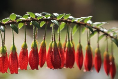 南京浦口区零用贷短借：轻松解决临时资金需求