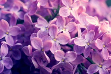 南京浦口区企业急用钱贷款攻略：快速融资解燃眉之急